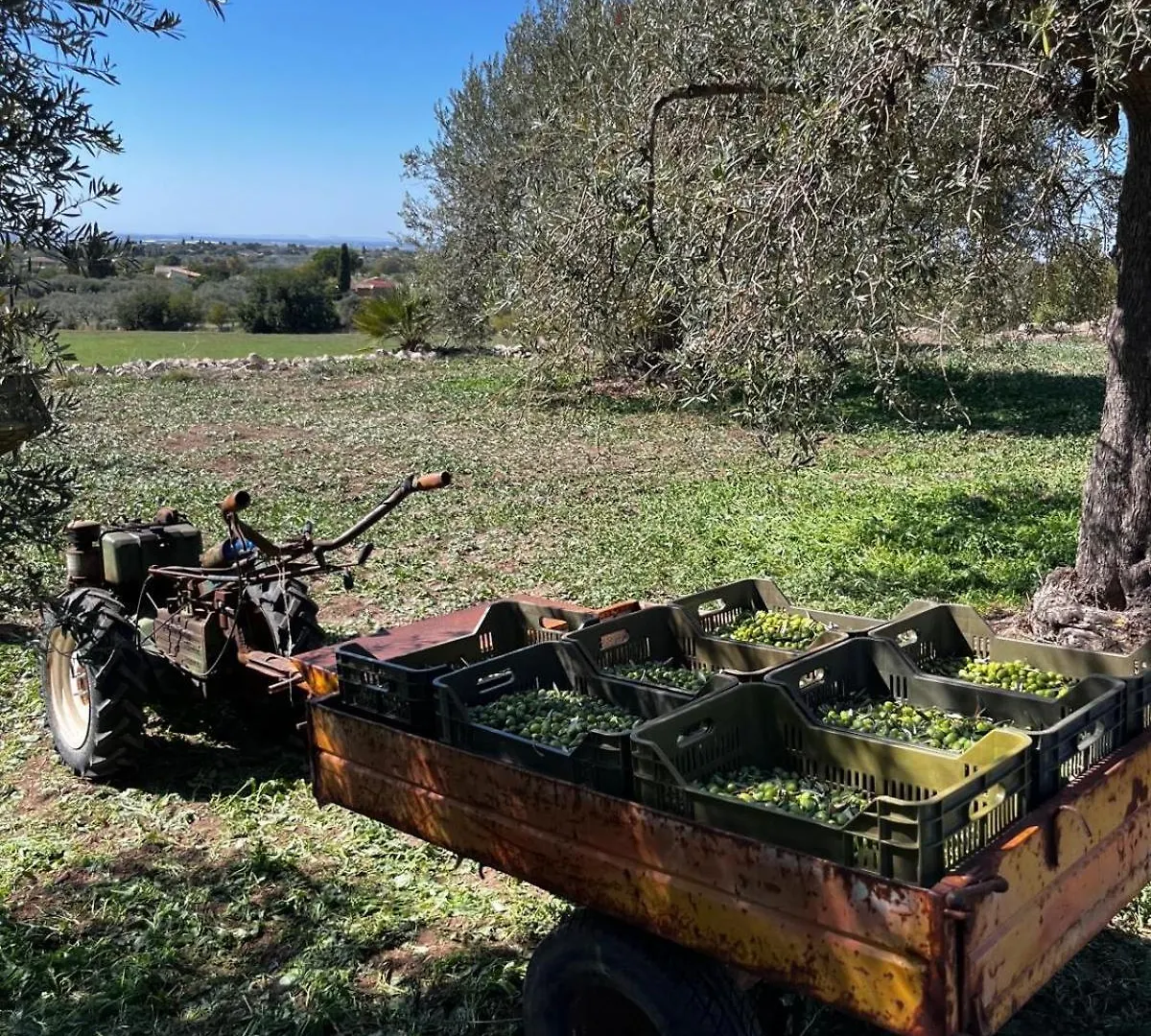 La Bella Vita Agriturismo キアラモンテ・グルフィ